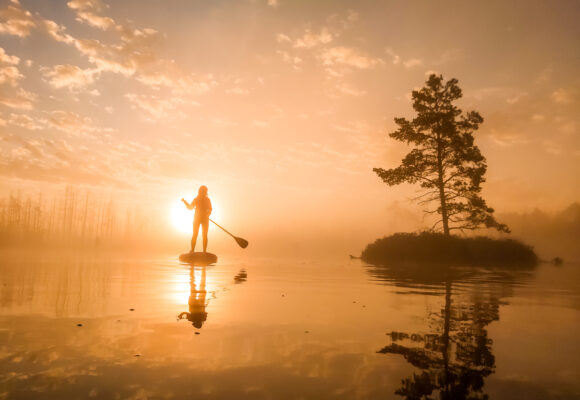 SUP sunrise in the swamp: Ķemeri bog