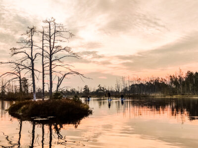 SUP sunrise in the swamp: Ķemeri bog – Piedzīvojums - saullēkts ar SUP Cenas tīrelī