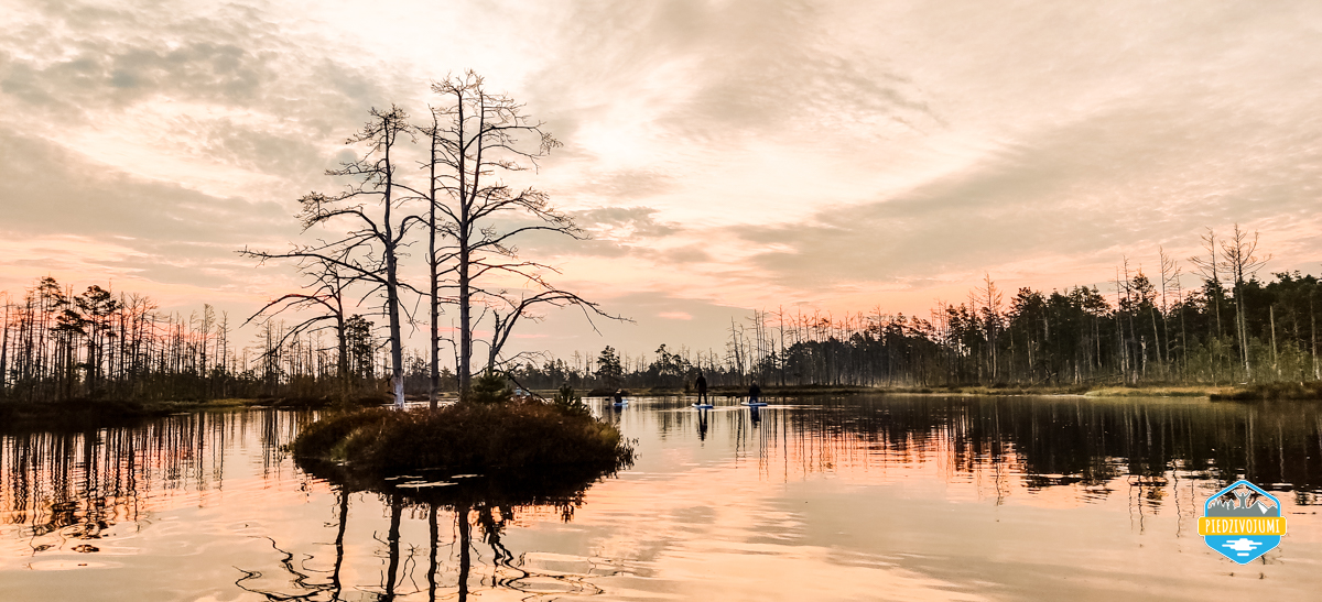 SUP sunrise in the swamp: Ķemeri bog – Piedzīvojums - saullēkts ar SUP Cenas tīrelī