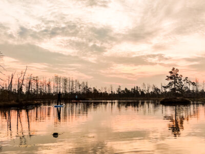 SUP sunrise in the swamp: Ķemeri bog – Piedzīvojums - saullēkts ar SUP Cenas tīrelī