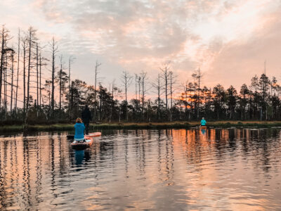 SUP sunrise in the swamp: Ķemeri bog – Piedzīvojums - saullēkts ar SUP Cenas tīrelī