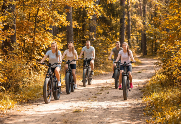 E-bike holiday: Līgatne