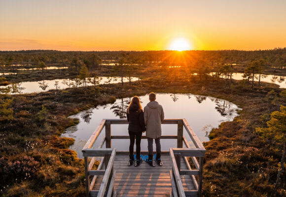 Bog Tinder (25-40): Sunset in Cena Bog