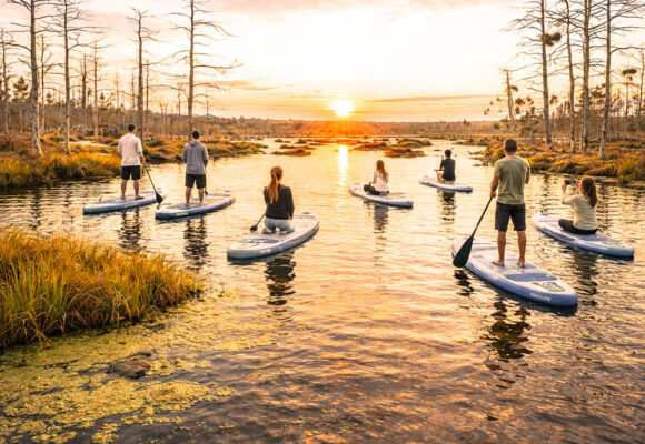 Sunset SUP in the swamp: Smārde's green swamp